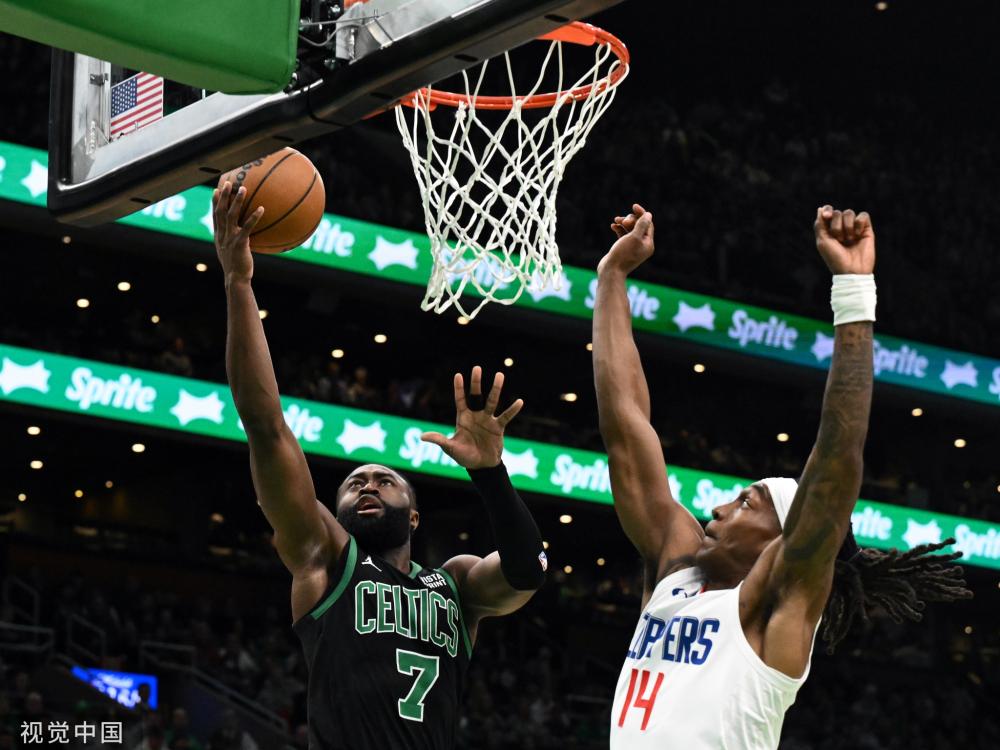 名种子形成 名种子形成