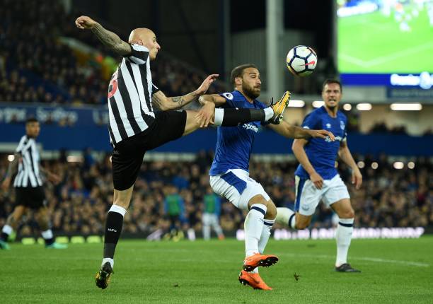 作为巴西足 作为巴西足